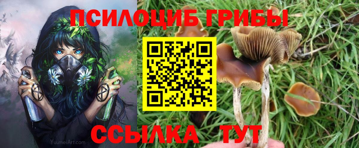 Галлюциногенные грибы Cubensis Прокопьевск